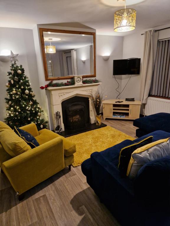 安特里姆The Nest Antrim的客厅配有圣诞树和壁炉