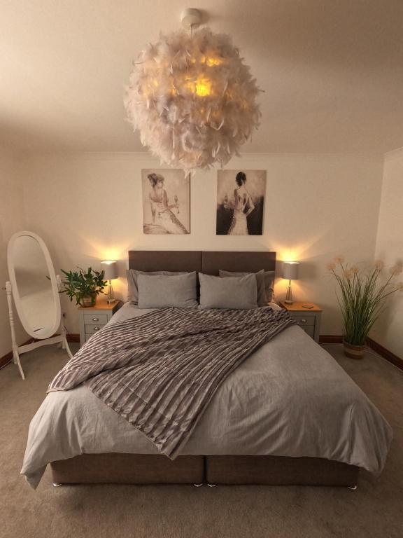 布雷肯Cribyn Lodge的一间卧室配有一张大床和一个吊灯。