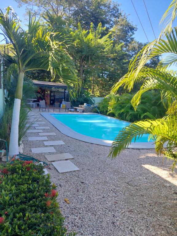 塔马林多Hotel Casa Carlota Tamarindo的棕榈树花园中的游泳池
