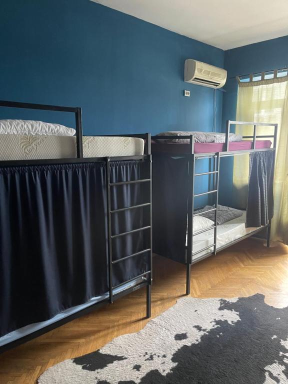 普里什蒂纳NEWBORN CENTER hostel的蓝色墙壁的客房内设有两张双层床。