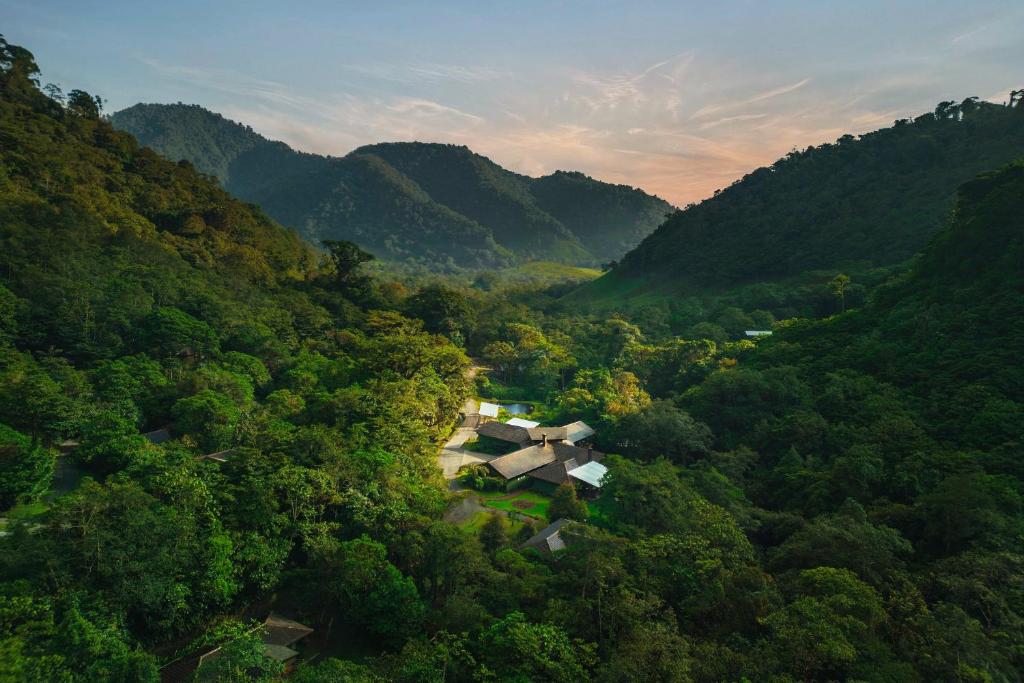 Toro AmarilloEl Silencio Lodge & Spa Costa Rica的森林中间房屋的空中景观