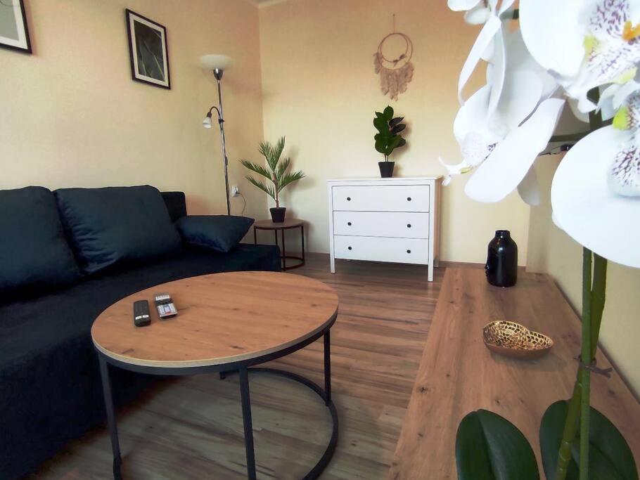 雷布尼克***Santorini Apartament*** - 40m² ✓的客厅配有沙发和桌子