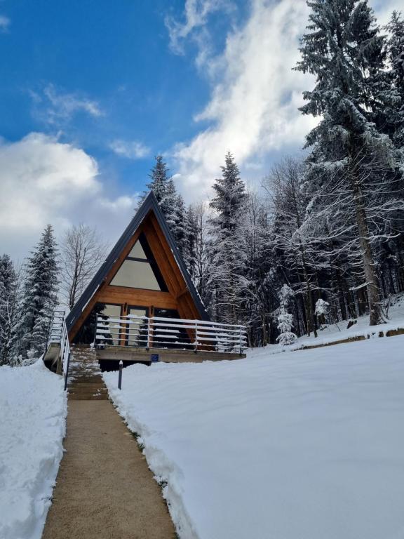 Stara SušicaGorska bajka - Borovica, planinska kuća za odmor i wellness的雪地小木屋,有一条小径