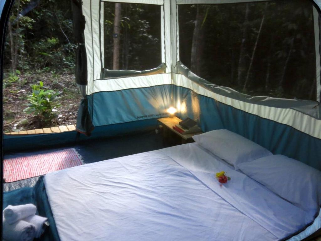 大塞拉YbYmara Eco Glamping的帐篷内的一张床位,配有窗户