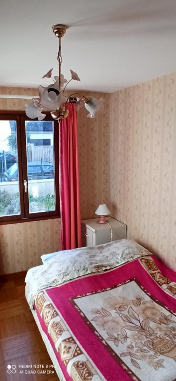 弗勒里莱欧布赖Etablissement commun avec chambre privé tranquille avec jardin a 10 min a pied de la gare de Fleury-les-Aubrais et 2 min d Orléans的一间卧室配有一张床和吊扇