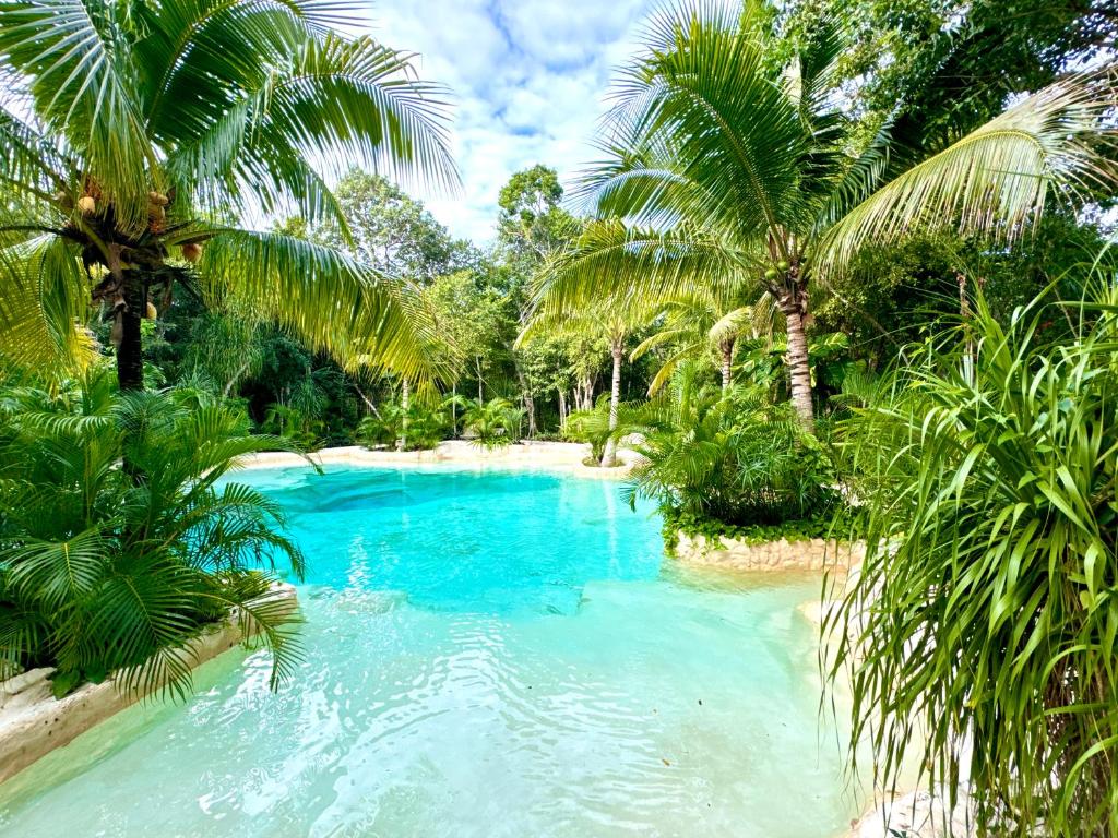 图卢姆Bunga Lotus Glamping - Otoch Nacom的棕榈树丛林中的游泳池