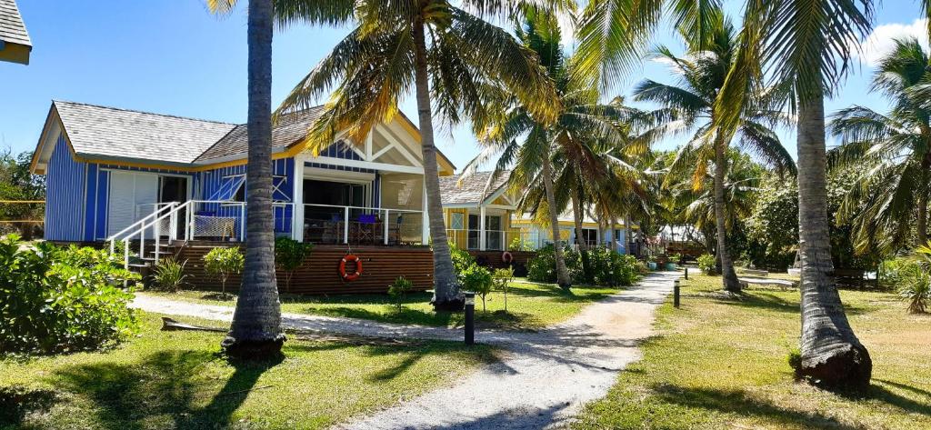 Beach House Lodge的前面有棕榈树的房子