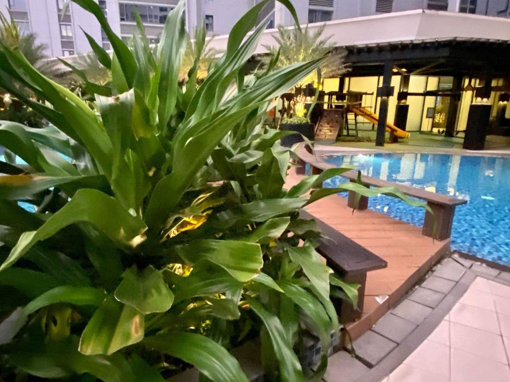马尼拉Penthouse Perfection的游泳池旁的绿色植物