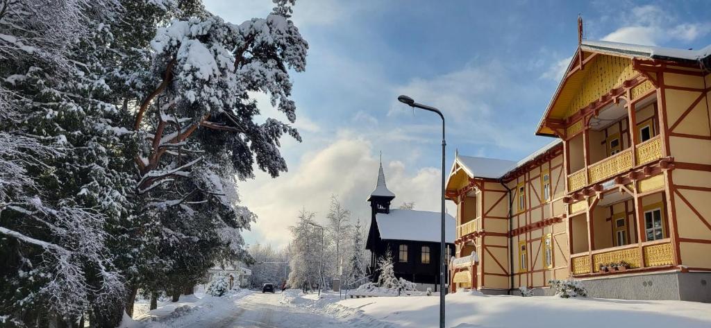 高塔特拉山Vila Kollár Vysoké Tatry的雪地中的建筑,有街灯和教堂