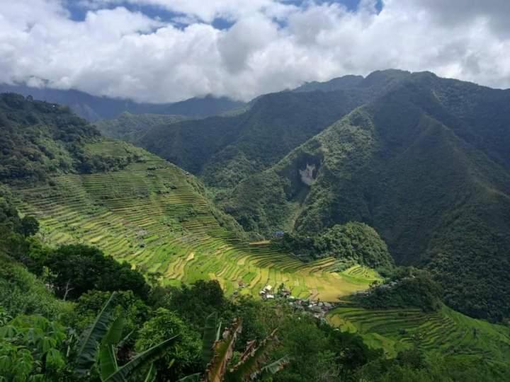 巴纳韦Batad Viewpoints Guesthouse and Restaurants的享有高山山谷树木的空中景致