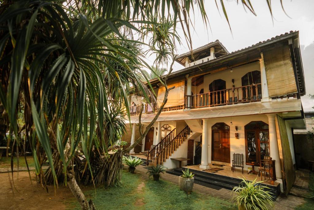 哈巴拉杜瓦维纳丛林宾馆的前面有棕榈树的房子