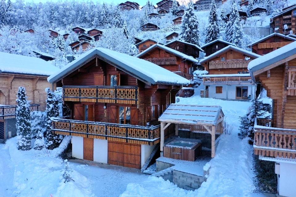 沙泰勒Chalet individuel 8 pers à Chatel Porte du soleil avec Jacuzzi exterieur的雪地小木屋