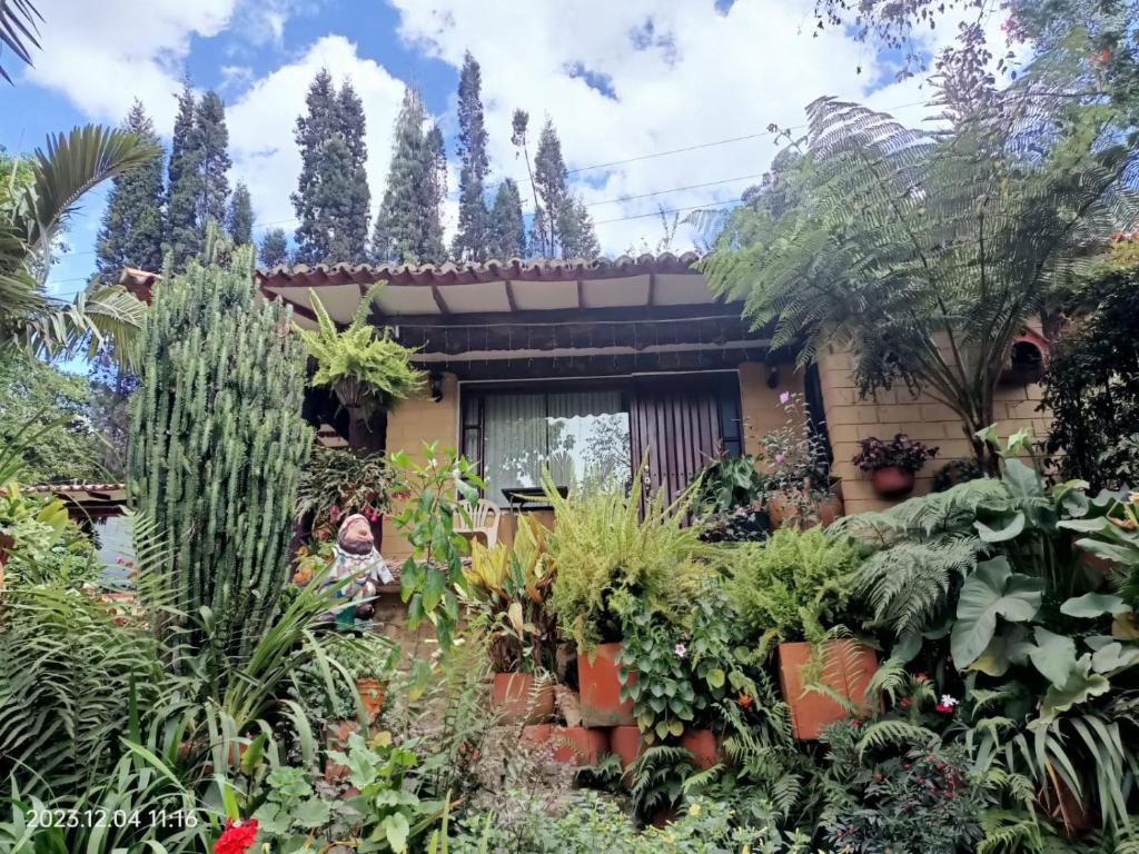 拉基拉villa saturia的植物屋前的花园