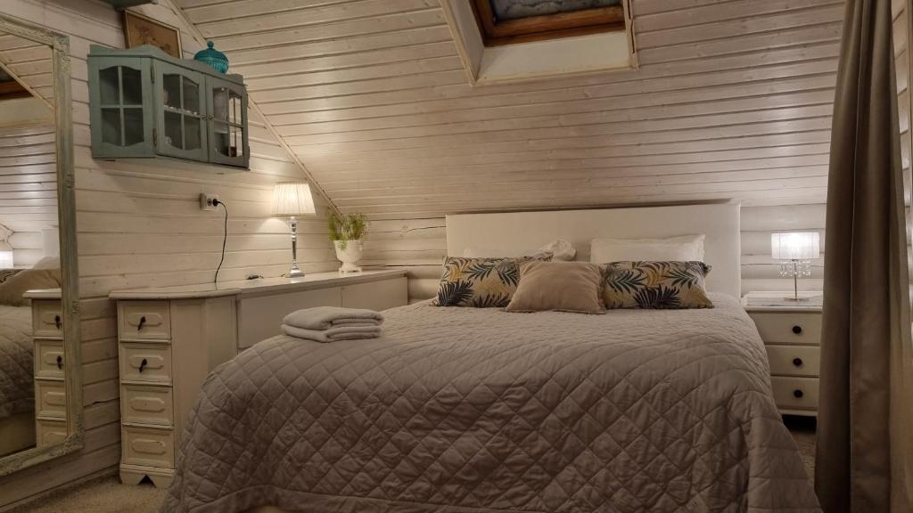 派尔努Guesthouse Delisa的一间卧室配有一张带书桌和水槽的床。