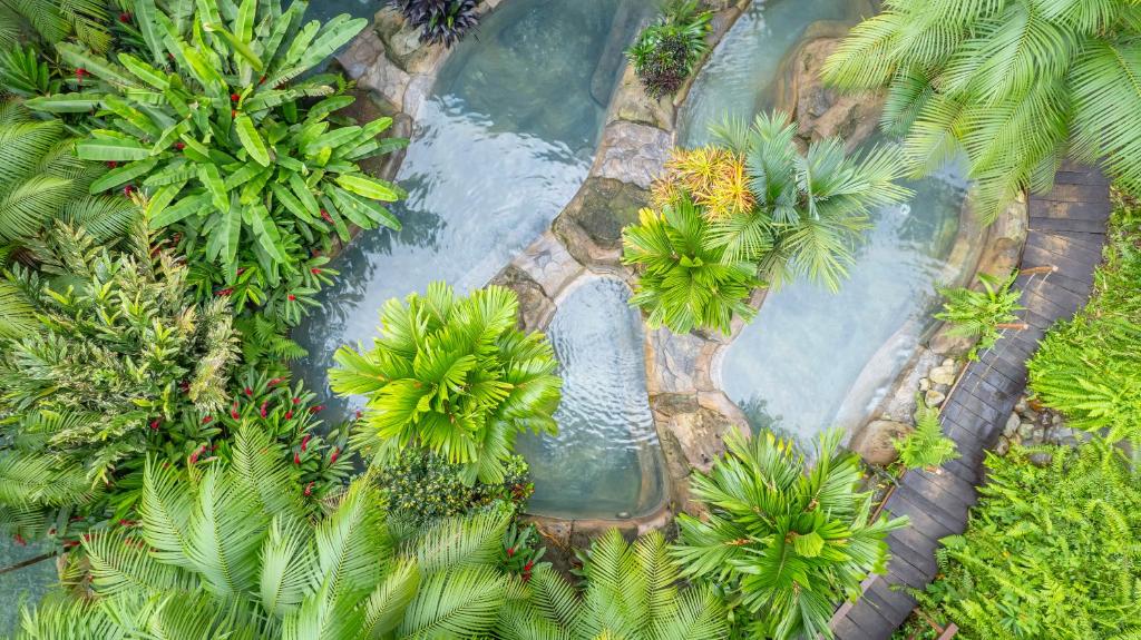 Chachagua Rainforest Hotel &amp; Hot Springs外面的花园