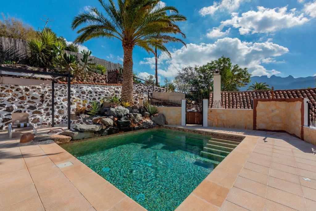 圣卢西亚Las Casas de la Rueda - El Patio的棕榈树后院的游泳池