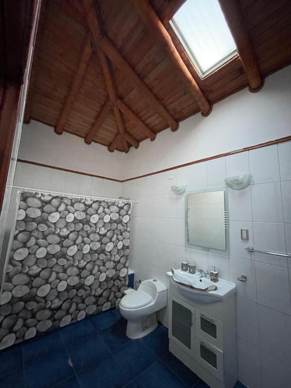 圣何塞德迈波Cabañas Los Olmos的一间带卫生间、水槽和镜子的浴室