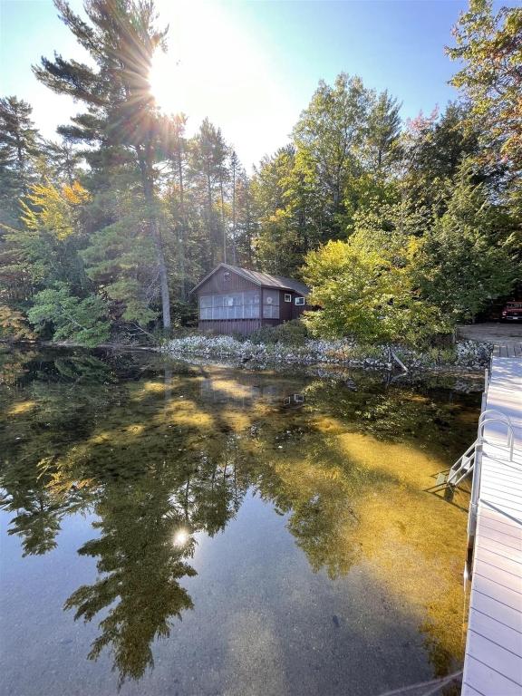 HillsideWHIP POOR WILL LIMIT 5 cottage的湖中树木的房屋