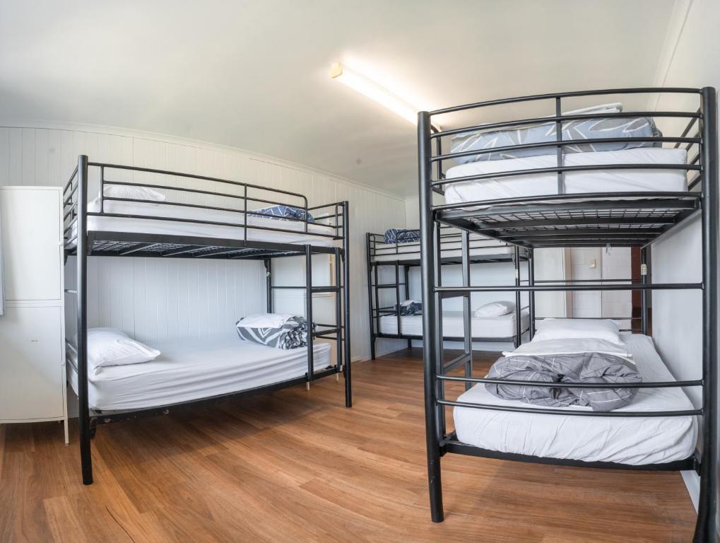 卡伦德拉CALI Backpackers的铺有木地板的客房内配有两张双层床。