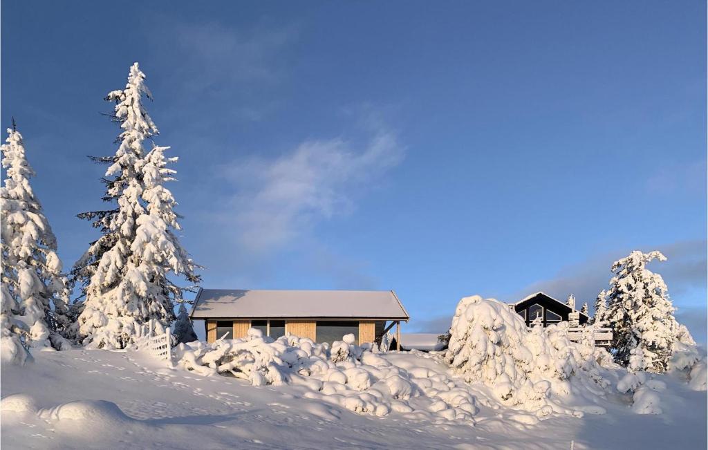 斯朱森Amazing Home In Sjusjen With Kitchen的雪中的房子,有雪覆盖的树木