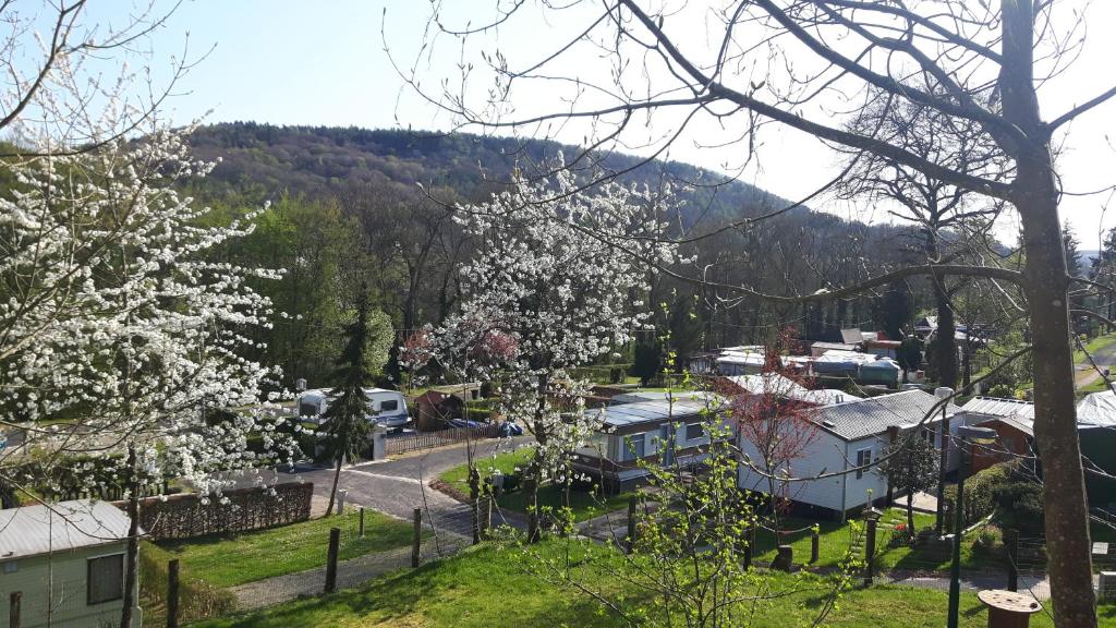 埃希特纳赫Camping Officiel Wollefsschlucht Echternach的山丘上白色花卉小镇的景色