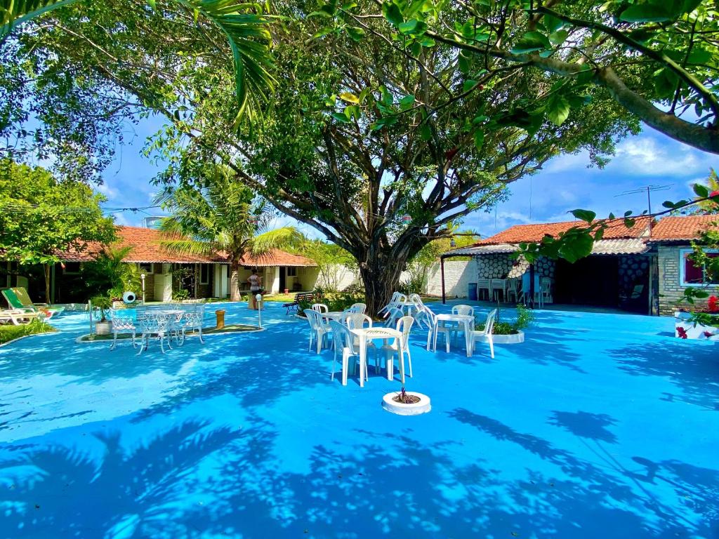 Ceará-MirimPousada Elpirata Sidney的一个带白色椅子和树的游泳池