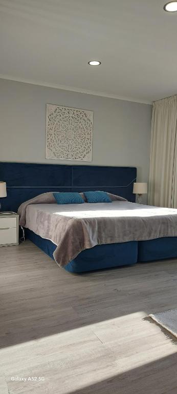 蓬塔德尔加达Pinneapple Studio的一间卧室配有一张带蓝色枕头的大床