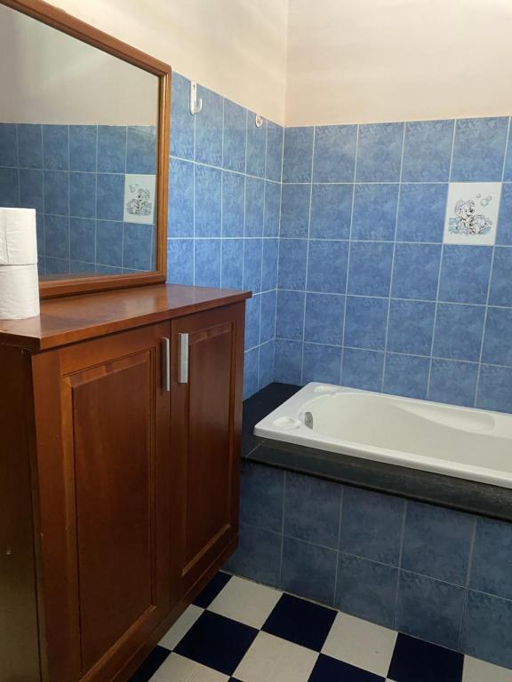波来古市Homestay 484的带浴缸、水槽和镜子的浴室
