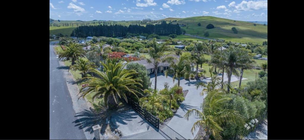 凯塔亚Taipa Views Bed & Breakfast的棕榈树度假村的空中景致