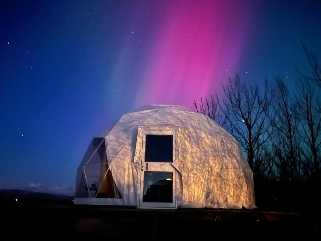 霍尔斯沃德吕尔Aurora Dome on the South Coast的夜色为北灯的 ⁇ 蜥屋