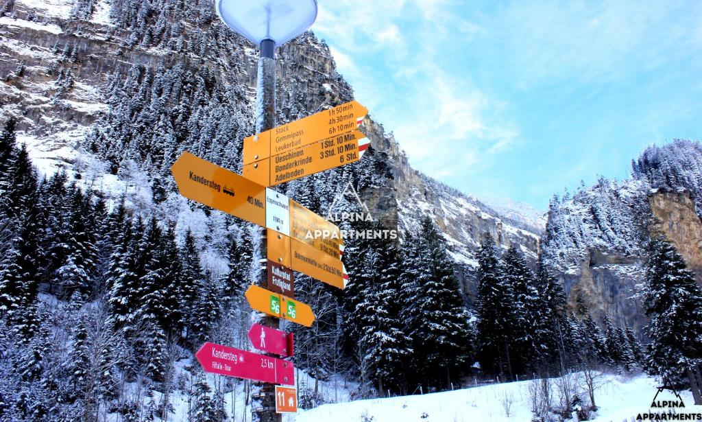 坎德施泰格Alpina Appartment 2的雪上一根杆上的一大堆标志