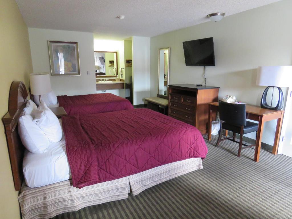 埃尔科雷鸟汽车旅馆 的酒店客房配有一张床、一张书桌和一台电视。
