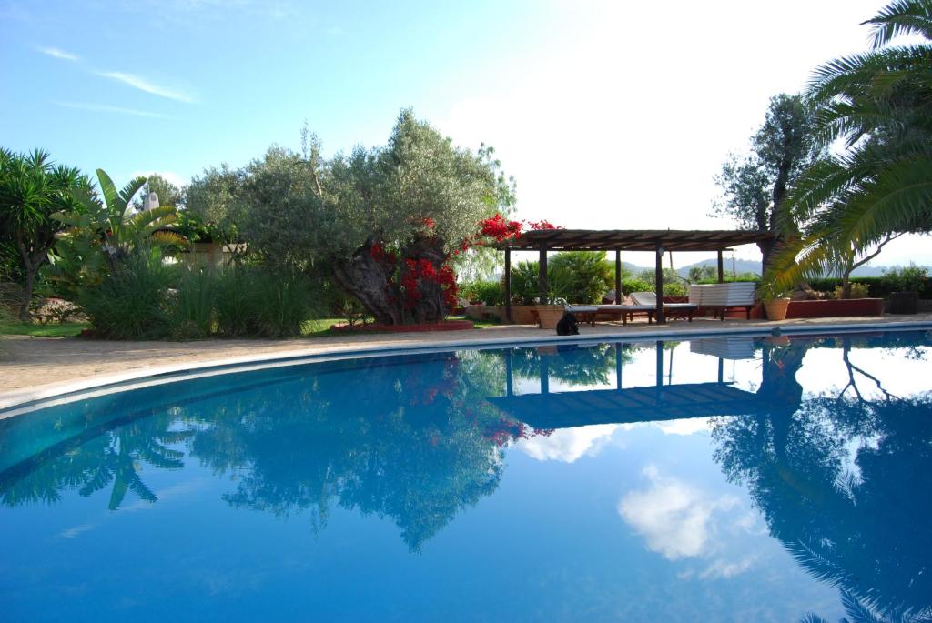 圣米克尔德巴兰Hotel Rural Cas Pla的庭院里的一个蓝色海水游泳池