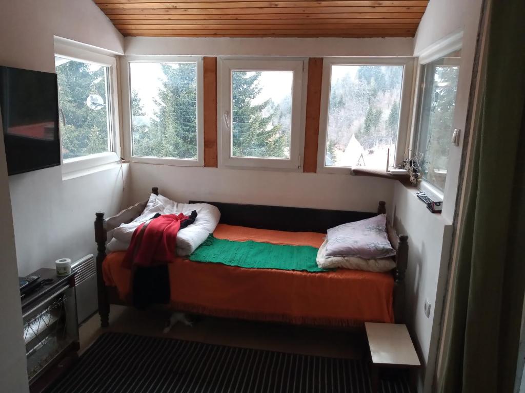 科帕奥尼克KopanikTreskaPotok15e的一张小床,位于带两个窗户的房间