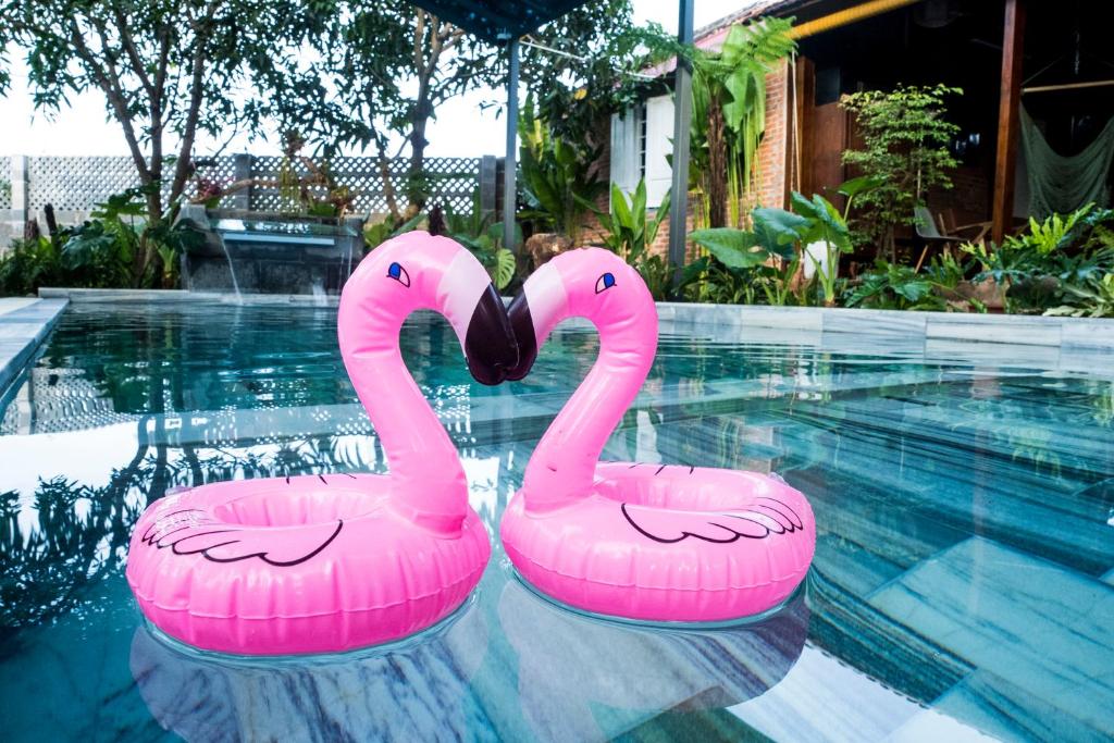 潘切Eco House Villa的游泳池内2个粉红色火烈鸟