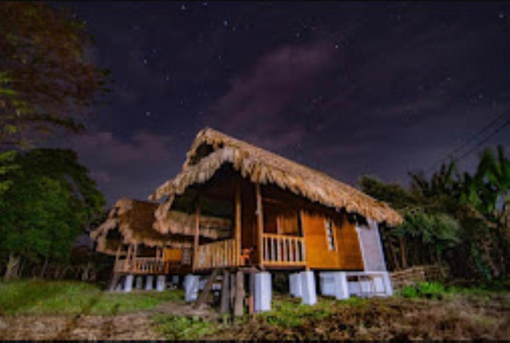 Namdapha Jungle Camp Miao的茅草屋顶的房屋
