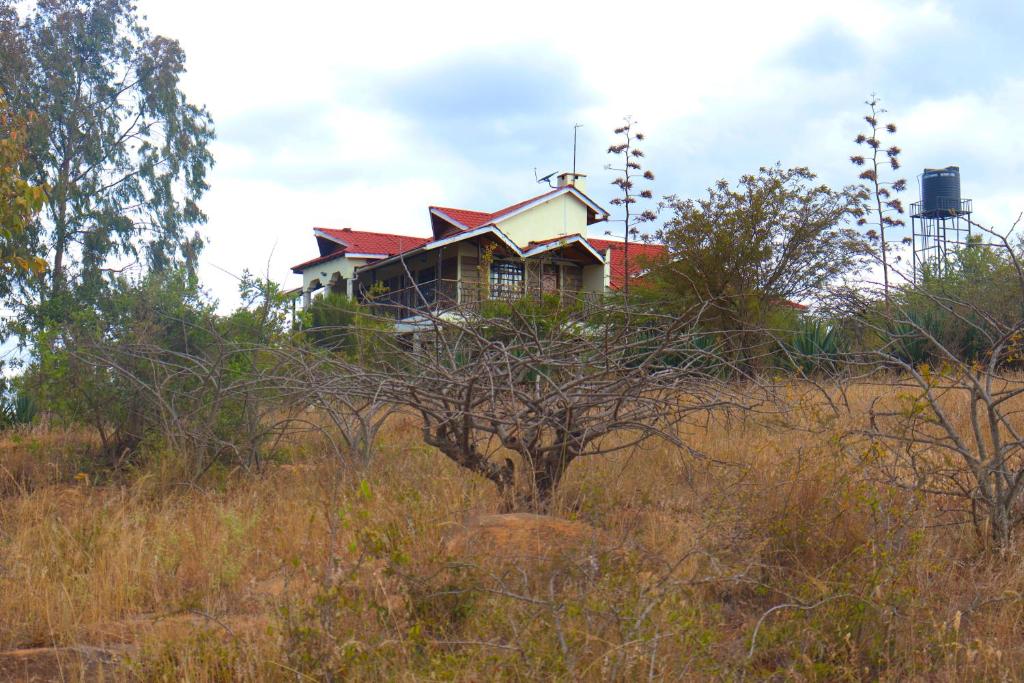 马查科斯Saba Holiday Homes的坐在田野上山顶的房子