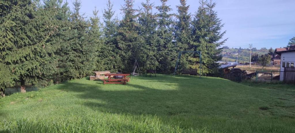 布科维纳-塔钱斯卡Tatrzański Camper Park- parcele kamperowe的一个大草场,里面设有野餐桌
