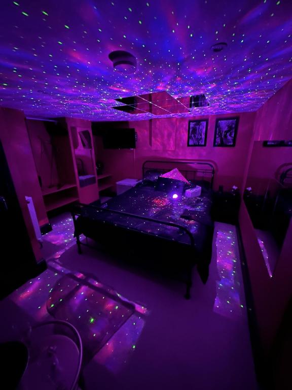 巴恩斯利The Indulging Basement的紫色卧室配有一张带灯的床铺