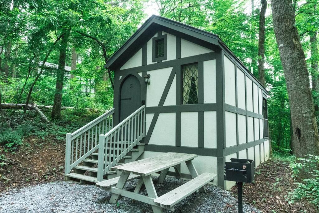 赛维尔维尔Tiny Home Cottage Near the Smokies #5 Fleur的黑白小游戏房,带长凳