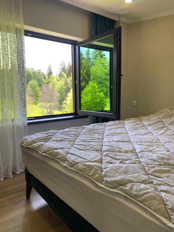 巴库里阿尼Duplex apartment near the forest的一间卧室设有一张大床和一个大窗户