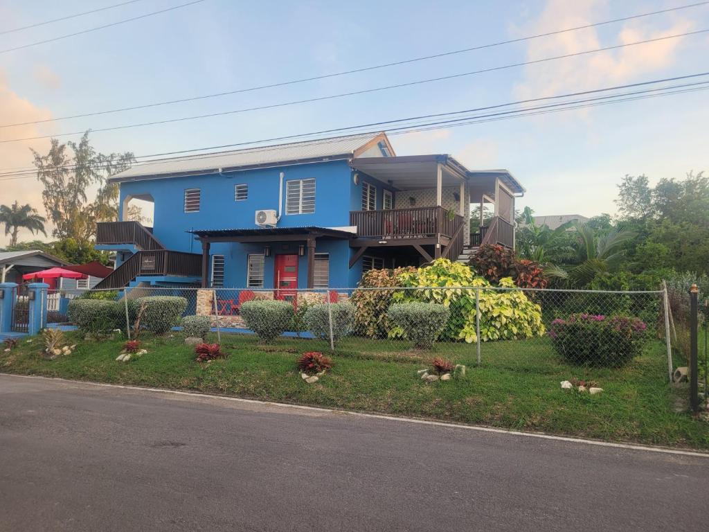 Dickenson BaySilverbuttons Apartments & Eats的街道边的蓝色房子