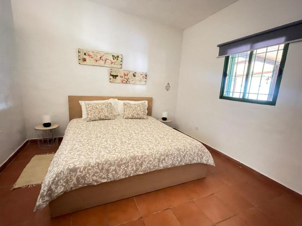 Ojos de GarzaBed&Ride La Manigua的一间卧室设有一张床和一个窗口