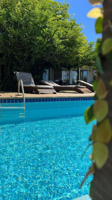 布希奥斯Bossa Nova的拥有蓝色海水和树木的游泳池