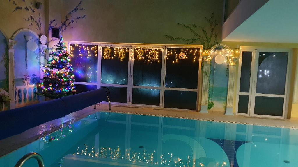 马尔堡Apartament Małgosi的一座带圣诞树和游泳池的房子