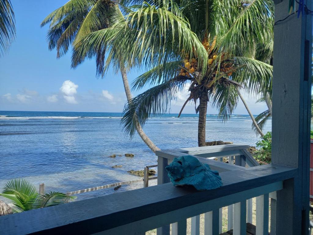 CalibishieMx2 Cottage的阳台享有大海和棕榈树的景致。