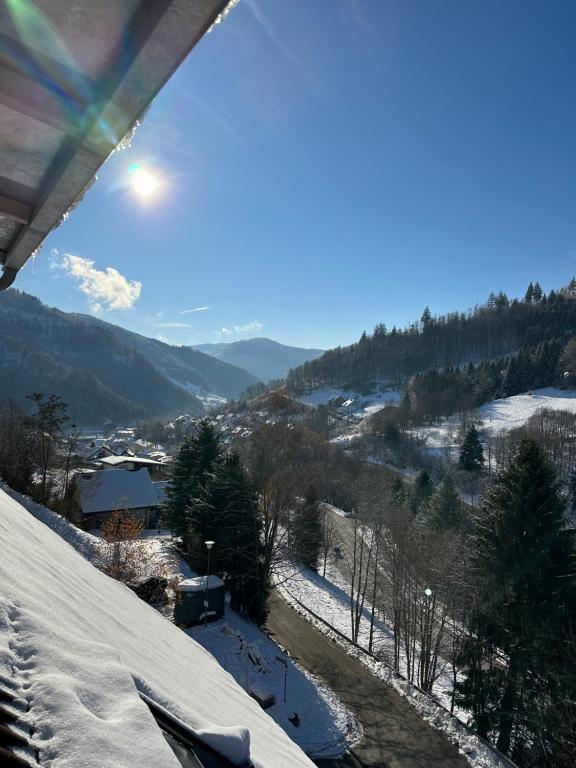 托特瑙Bollenlodge - Ferienwohnung mit Ausblick und Top Lage的享有带城镇的雪覆盖山丘的景致