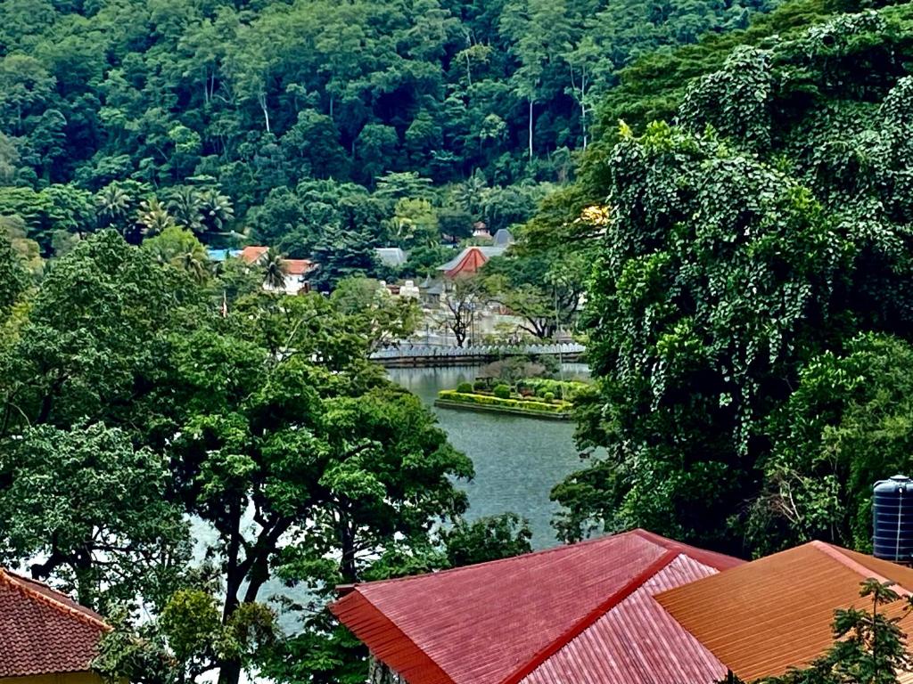 康提Sesatha lake Kandy的享有树木和城镇的河流美景