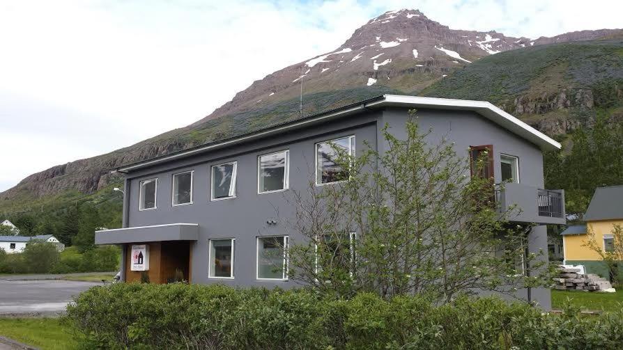 塞济斯菲厄泽Seydisfjördur Guesthouse的一座山底建筑