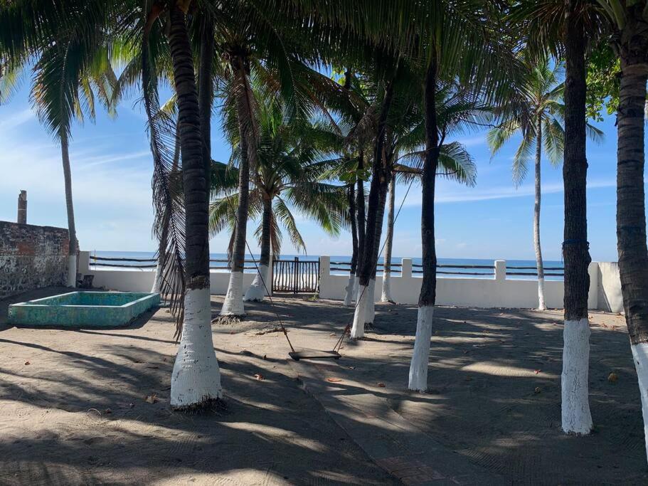 拉利伯塔德Casa GaNiMo - propiedad privada, frente al mar的海滩上一棵棕榈树和大海